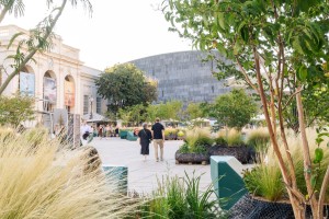 Alles im grünen Bereich