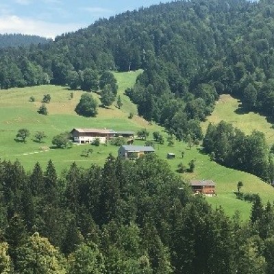 bregenzerwald.jpg